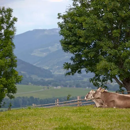 Фермерский дом Moserhof