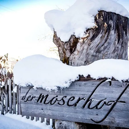 Фермерский дом Moserhof