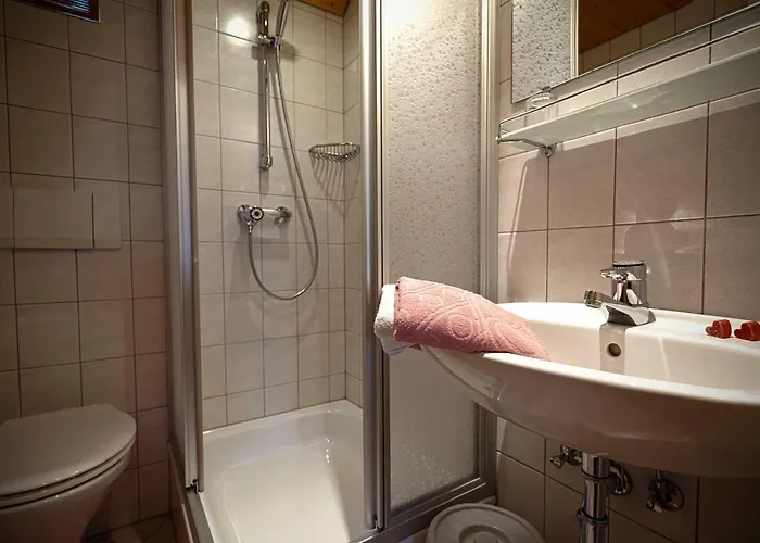 Moserhof * Haus im Ennstal