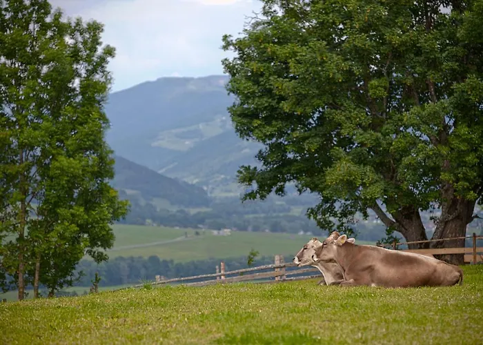 Alloggio per agriturismo Moserhof